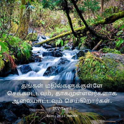 Picture 03 - யோபு 24:11 TAMIRV - தங்கள் - Bible Verse Picture