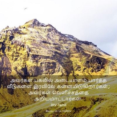 Picture 03 - யோபு 24:16 TAMIRV - அவர்கள் பகலில் - Bible Verse Picture