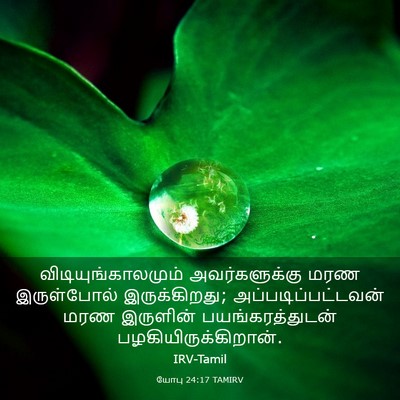 Picture 03 - யோபு 24:17 TAMIRV - விடியுங்காலமும் - Bible Verse Picture