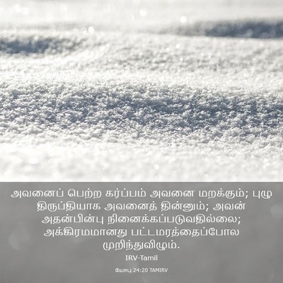 Picture 03 - யோபு 24:20 TAMIRV - அவனைப் பெற்ற - Bible Verse Picture