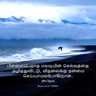 Picture 03 - யோபு 24:21 TAMIRV - பிள்ளைபெறாத - Bible Verse Picture