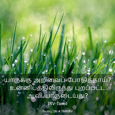 Picture 03 - யோபு 26:4 TAMIRV - யாருக்கு அறிவைப் - Bible Verse Picture