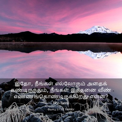 Picture 03 - யோபு 27:12 TAMIRV - இதோ, நீங்கள் - Bible Verse Picture