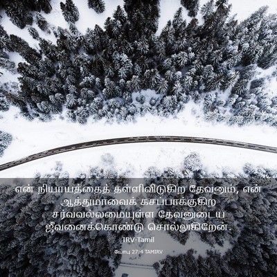 Picture 03 - யோபு 27:4 TAMIRV - என் நியாயத்தைத் - Bible Verse Picture