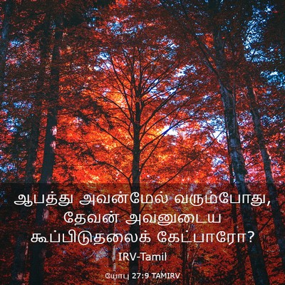 Picture 03 - யோபு 27:9 TAMIRV - ஆபத்து அவன்மேல் - Bible Verse Picture