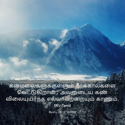 Picture 03 - யோபு 28:10 TAMIRV -  - Bible Verse Picture