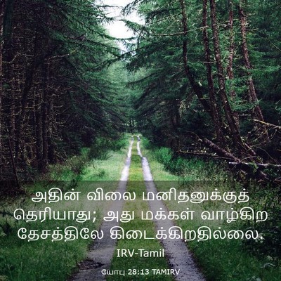Picture 03 - யோபு 28:13 TAMIRV - அதின் விலை - Bible Verse Picture