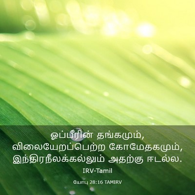 Picture 03 - யோபு 28:16 TAMIRV - ஓப்பீரின் - Bible Verse Picture