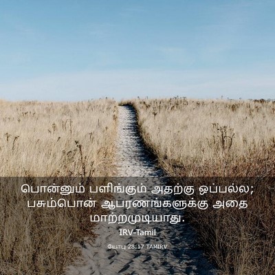 Picture 03 - யோபு 28:17 TAMIRV - பொன்னும் - Bible Verse Picture