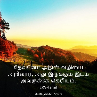 Picture 03 - யோபு 28:23 TAMIRV - தேவனோ அதின் வழியை - Bible Verse Picture