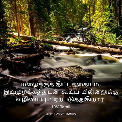 Picture 03 - யோபு 28:26 TAMIRV - மழைக்குத் - Bible Verse Picture