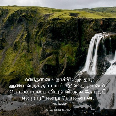 Picture 03 - யோபு 28:28 TAMIRV - மனிதனை நோக்கி: இதோ, - Bible Verse Picture