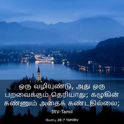 Picture 03 - யோபு 28:7 TAMIRV - ஒரு வழியுண்டு, அது - Bible Verse Picture