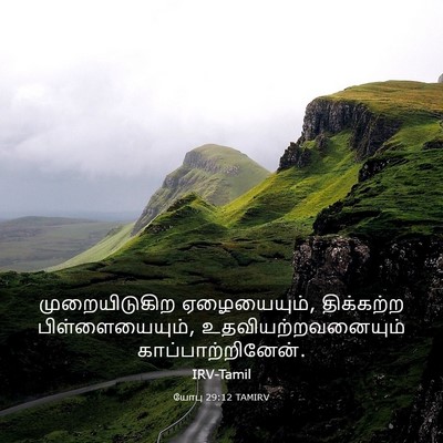 Picture 03 - யோபு 29:12 TAMIRV - முறையிடுகிற - Bible Verse Picture