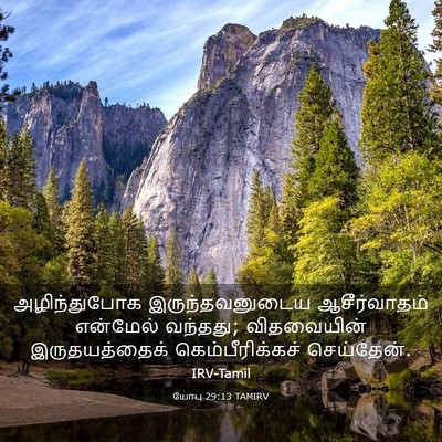 Picture 03 - யோபு 29:13 TAMIRV - அழிந்துபோக - Bible Verse Picture