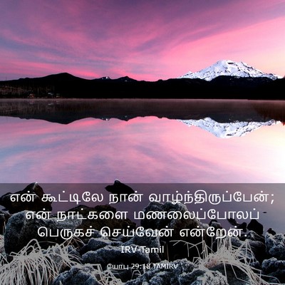 Picture 03 - யோபு 29:18 TAMIRV - என் கூட்டிலே நான் - Bible Verse Picture