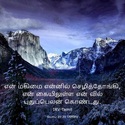 Picture 03 - யோபு 29:20 TAMIRV - என் மகிமை என்னில் - Bible Verse Picture