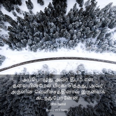Picture 03 - யோபு 29:3 TAMIRV - அப்பொழுது அவர் - Bible Verse Picture