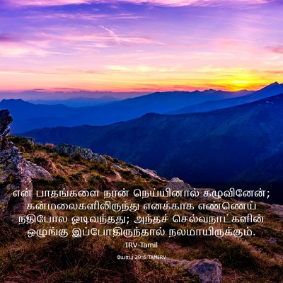 Picture 03 - யோபு 29:6 TAMIRV - என் பாதங்களை நான் - Bible Verse Picture