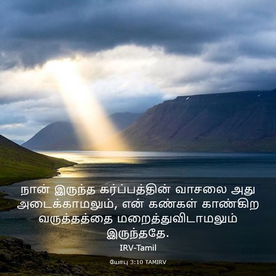 Picture 03 - யோபு 3:10 TAMIRV - நான் இருந்த - Bible Verse Picture