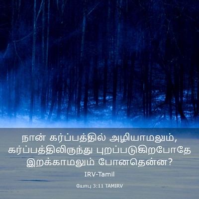 Picture 03 - யோபு 3:11 TAMIRV - நான் கர்ப்பத்தில் - Bible Verse Picture