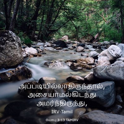 Picture 03 - யோபு 3:13 TAMIRV -  - Bible Verse Picture
