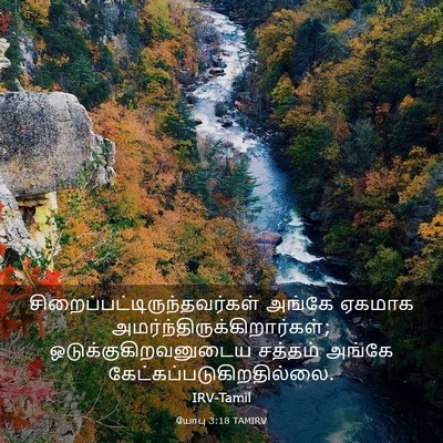 Picture 03 - யோபு 3:18 TAMIRV -  - Bible Verse Picture