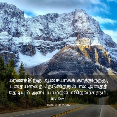 Picture 03 - யோபு 3:20 TAMIRV - மரணத்திற்கு - Bible Verse Picture