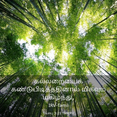Picture 03 - யோபு 3:21 TAMIRV - கல்லறையைக் - Bible Verse Picture