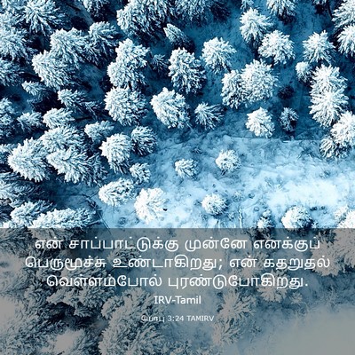 Picture 03 - யோபு 3:24 TAMIRV - என் - Bible Verse Picture