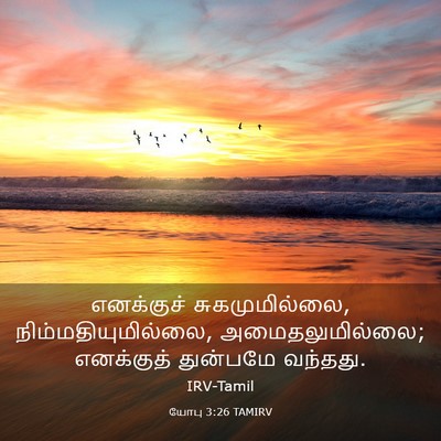 Picture 03 - யோபு 3:26 TAMIRV - எனக்குச் - Bible Verse Picture