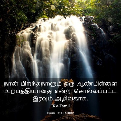Picture 03 - யோபு 3:3 TAMIRV - நான் பிறந்தநாளும் - Bible Verse Picture