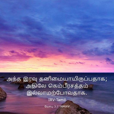 Picture 03 - யோபு 3:7 TAMIRV - அந்த இரவு - Bible Verse Picture