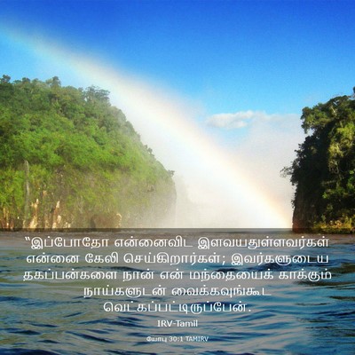 Picture 03 - யோபு 30:1 TAMIRV - “இப்போதோ என்னைவிட - Bible Verse Picture