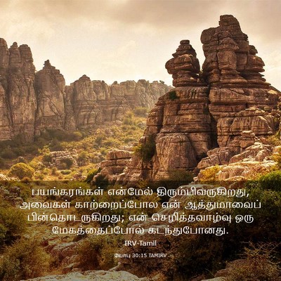 Picture 03 - யோபு 30:15 TAMIRV - பயங்கரங்கள் - Bible Verse Picture