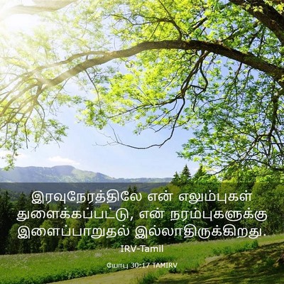 Picture 03 - யோபு 30:17 TAMIRV - இரவுநேரத்திலே என் - Bible Verse Picture