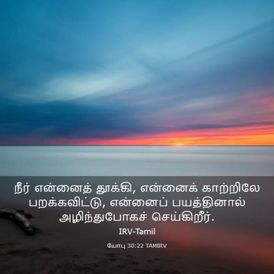 Picture 03 - யோபு 30:22 TAMIRV - நீர் என்னைத் - Bible Verse Picture