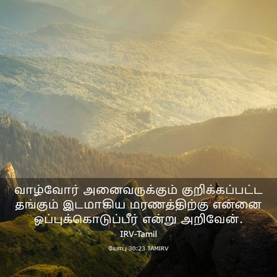 Picture 03 - யோபு 30:23 TAMIRV - வாழ்வோர் - Bible Verse Picture
