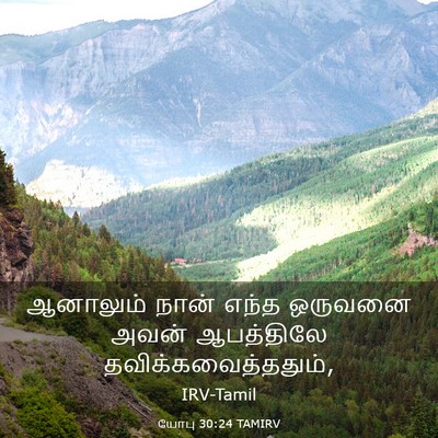 Picture 03 - யோபு 30:24 TAMIRV - ஆனாலும் நான் எந்த - Bible Verse Picture
