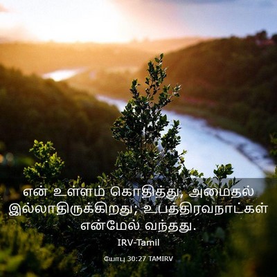 Picture 03 - யோபு 30:27 TAMIRV - என் உள்ளம் - Bible Verse Picture