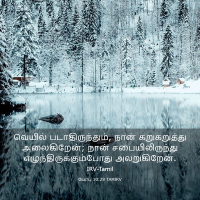 Picture 03 - யோபு 30:28 TAMIRV - வெயில் - Bible Verse Picture