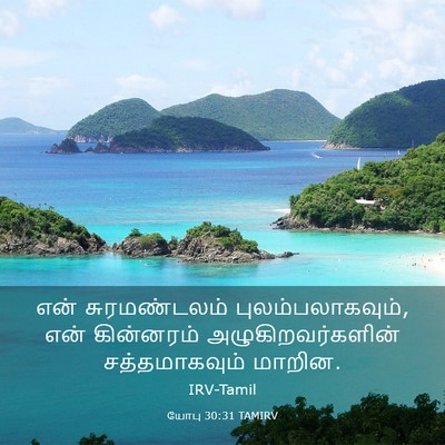 Picture 03 - யோபு 30:31 TAMIRV - என் சுரமண்டலம் - Bible Verse Picture