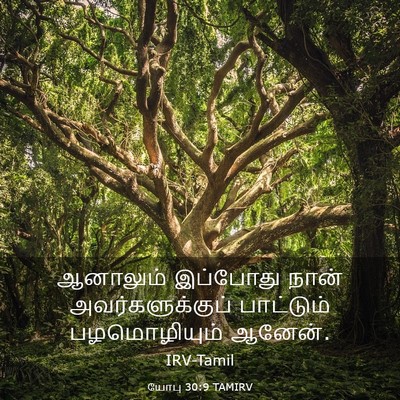 Picture 03 - யோபு 30:9 TAMIRV - ஆனாலும் இப்போது - Bible Verse Picture