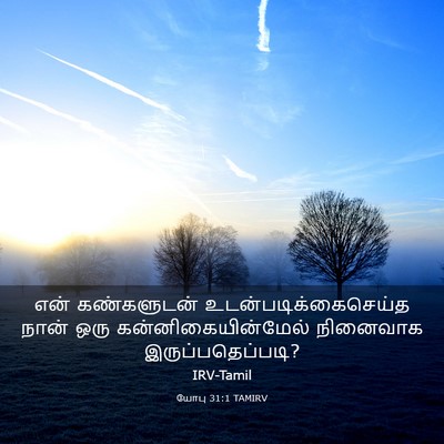 Picture 03 - யோபு 31:1 TAMIRV - என் கண்களுடன் - Bible Verse Picture
