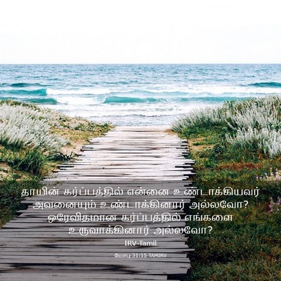 Picture 03 - யோபு 31:15 TAMIRV - தாயின் - Bible Verse Picture