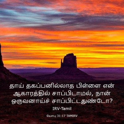 Picture 03 - யோபு 31:17 TAMIRV - தாய் தகப்பனில்லாத - Bible Verse Picture