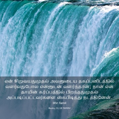 Picture 03 - யோபு 31:18 TAMIRV - என் சிறுவயதுமுதல் - Bible Verse Picture