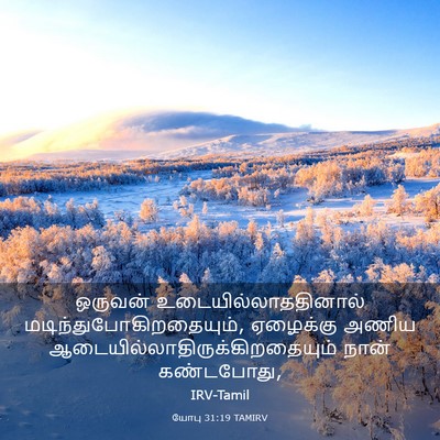 Picture 03 - யோபு 31:19 TAMIRV - ஒருவன் - Bible Verse Picture