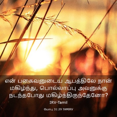 Picture 03 - யோபு 31:29 TAMIRV - என் பகைவனுடைய - Bible Verse Picture