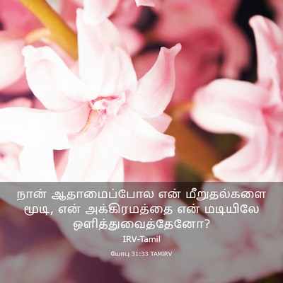 Picture 03 - யோபு 31:33 TAMIRV - நான் ஆதாமைப்போல - Bible Verse Picture